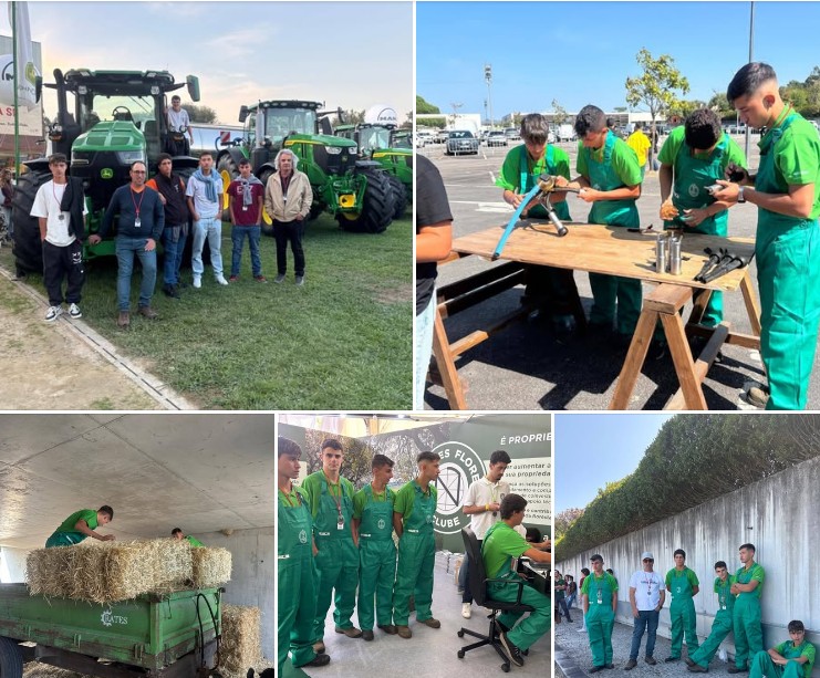 Captura de ecrã 2025 10 06 155531