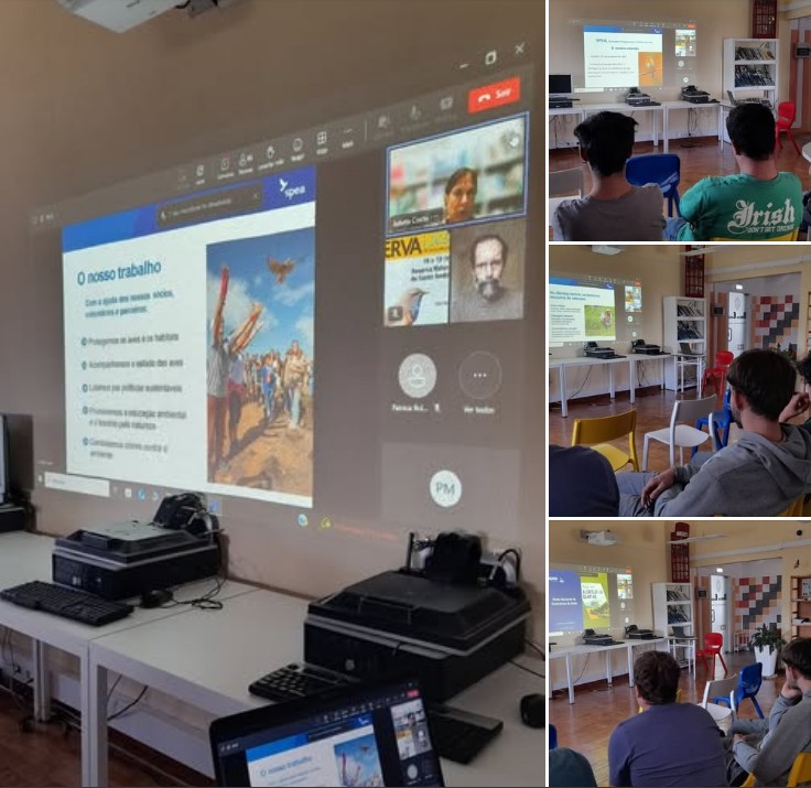 Captura de ecrã 2025 10 07 115118