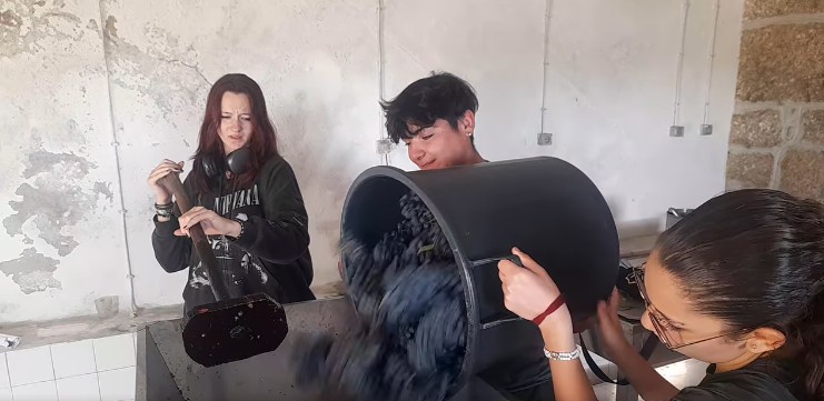 Captura de ecrã 2025 10 07 115733