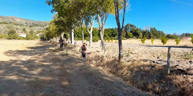 Captura de ecrã 2025 10 07 115945