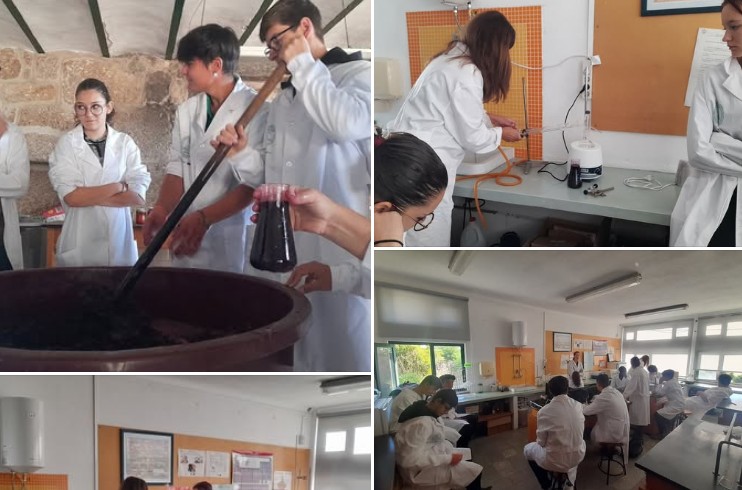 Captura de ecrã 2025 10 07 120118