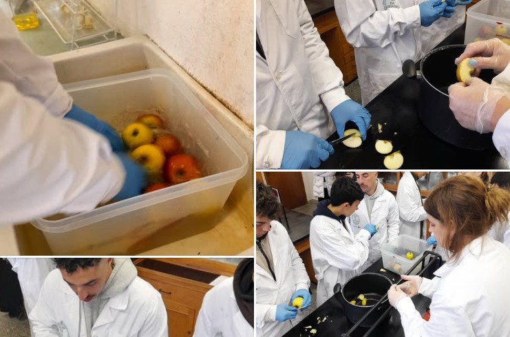 Captura de ecrã 2025 10 09 125833