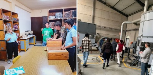 Captura de ecrã 2025 11 13 113148