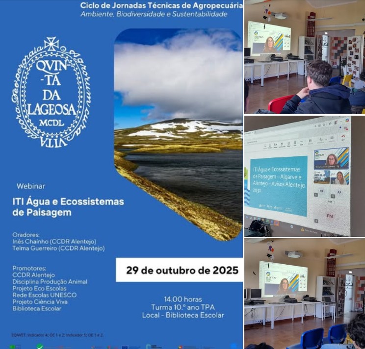 Captura de ecrã 2025 11 17 114544