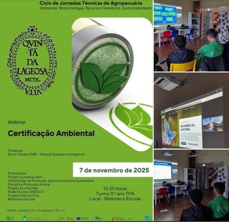 Captura de ecrã 2025 11 17 114840