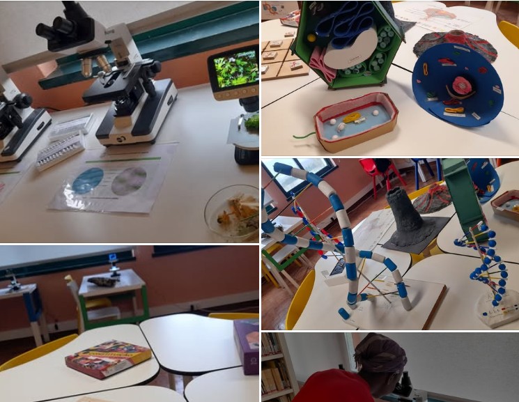 Captura de ecrã 2025 12 09 164518