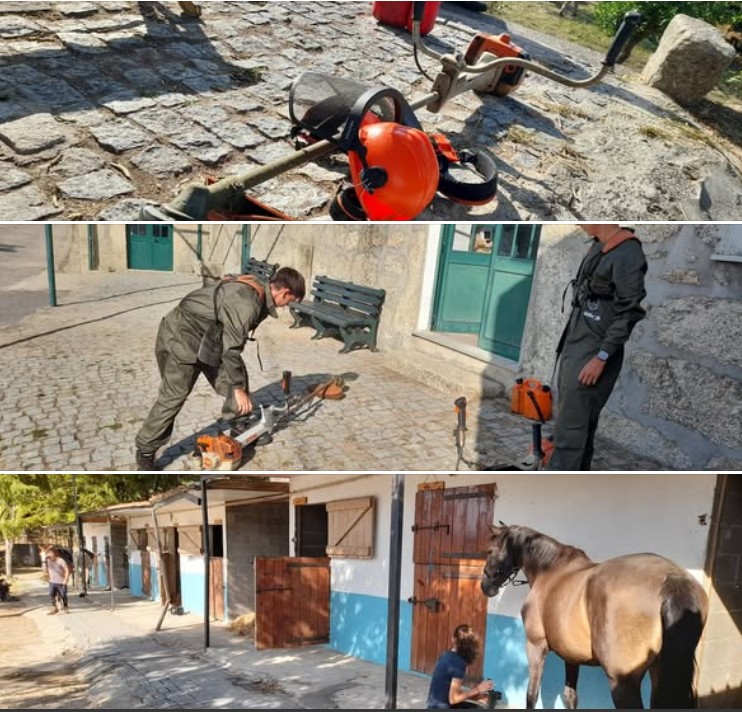 Captura de ecrã 2025 12 15 095244