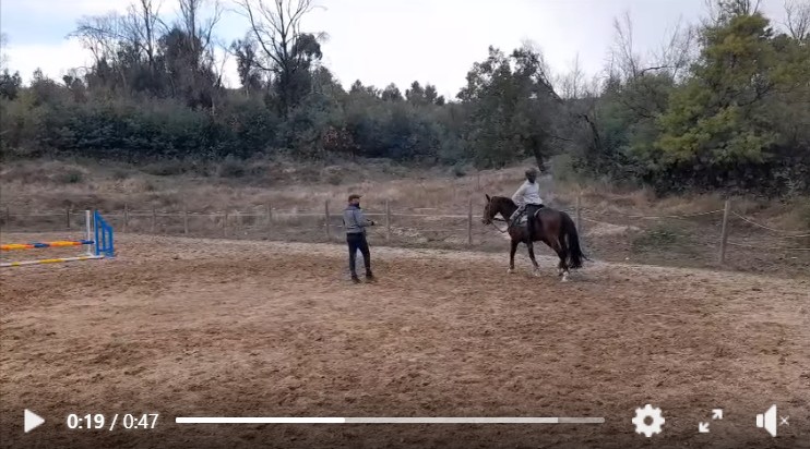 Captura de ecrã 2025 12 15 101004