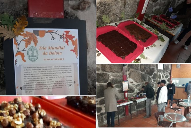 Captura de ecrã 2025 12 15 101313