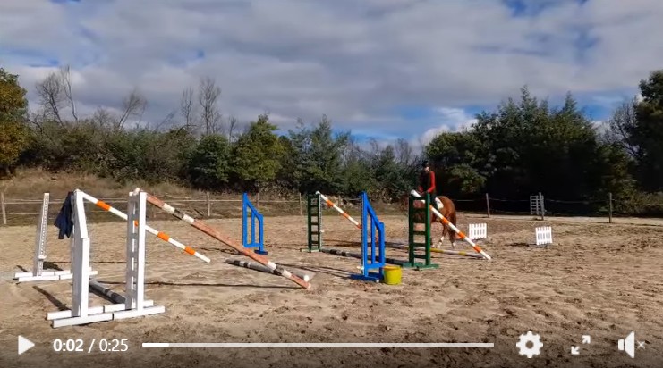 Captura de ecrã 2025 12 15 101750