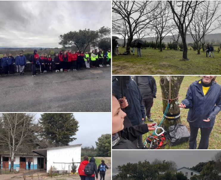 Captura de ecrã 2026 04 15 092132