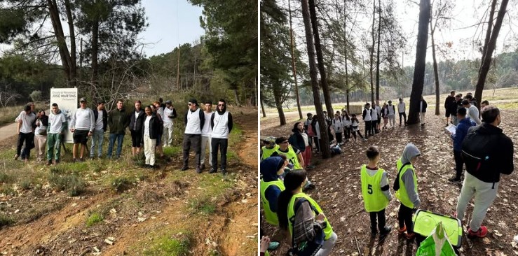 Captura de ecrã 2026 04 15 092600